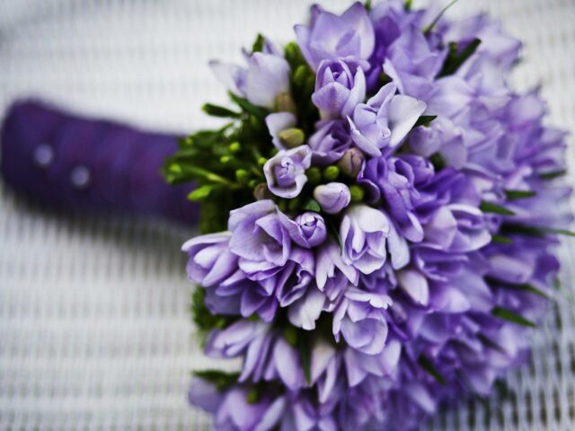 Anna Belardo wedding – Profile